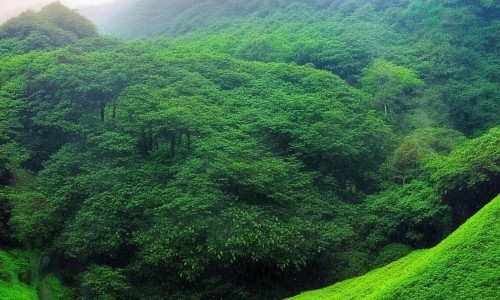 下垂眼皮的非手术改善方法