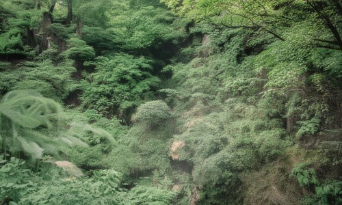 下垂眼皮的非手术改善方法